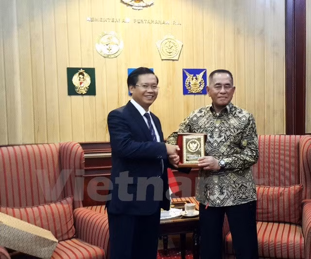 Cooperación de defensa, pilar clave de asociación estratégica Vietnam - Indonesia ảnh 1