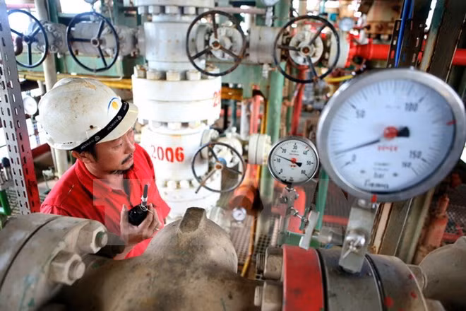 Entra en operación plataforma petrolífera ThTC-02 de yacimiento Tho Trang ảnh 1