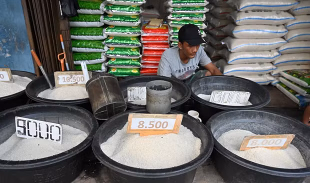 Indonesia garantiza suficiente suministro de alimentos durante el mes del Ramadán ảnh 1