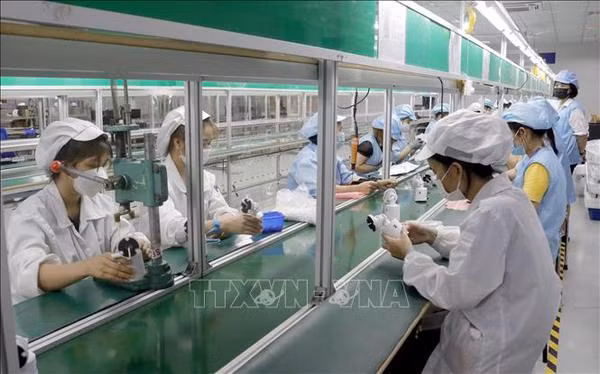 Alrededor del 92% de empleados regresaron al trabajo después del Tet ảnh 1
