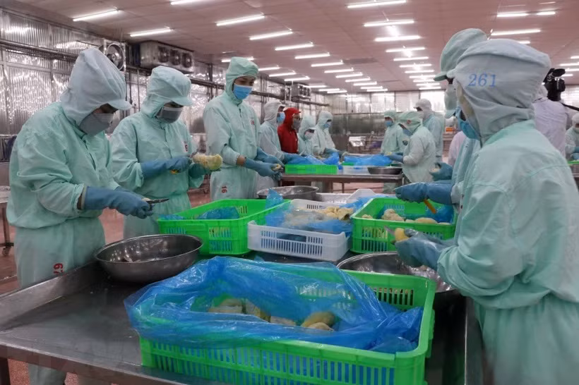 Canadá da prioridad a Vietnam en lazos con Indo-Pacífico ảnh 1 Canadá da prioridad a Vietnam en lazos con Indo-Pacífico ảnh 1