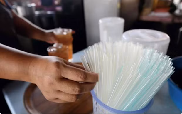 Malasia: un grupo de consumidores sugiere incentivos fiscales para reducir residuos plásticos ảnh 1 Malasia: un grupo de consumidores sugiere incentivos fiscales para reducir residuos plásticos ảnh 1