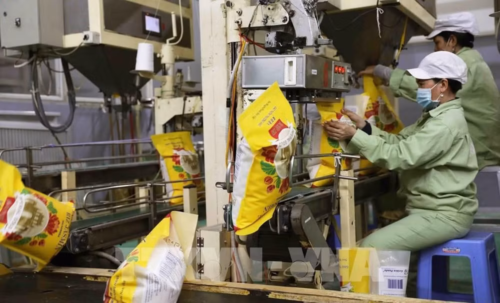 Auguran buenas perspectivas para exportaciones de arroz de Vietnam en 2024 ảnh 1