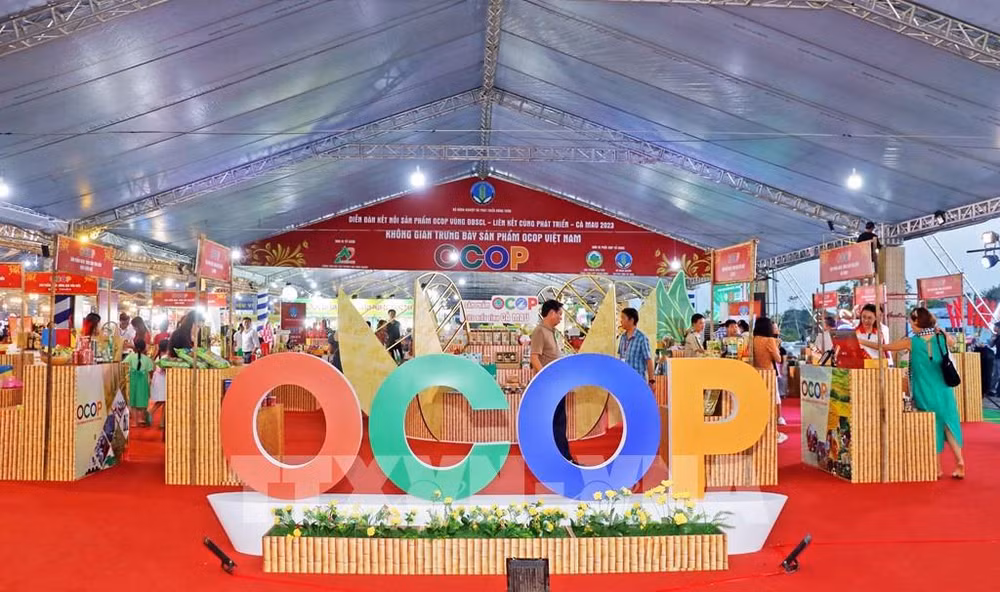  Programa “Cada Comuna, Un Producto” mejora competitividad agrícola de Vietnam ảnh 1