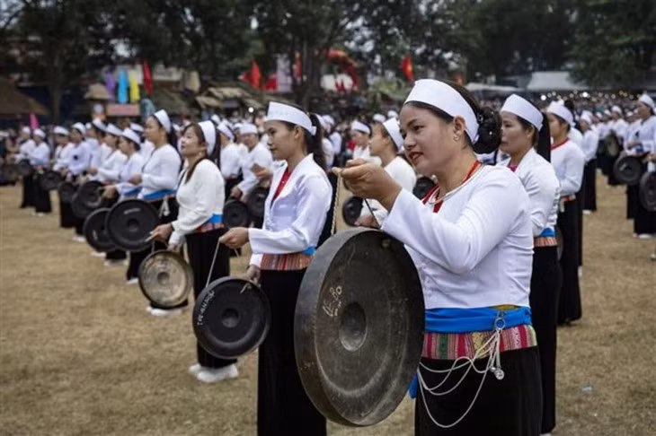 Vibrantes actividades festivas primaverales con motivo del Tet en Vietnam ảnh 1