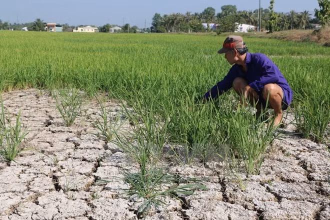 Optimistas pero cautelosos ante descarga de agua de China a río abajo de Mekong ảnh 1