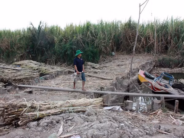 Comisión Mixta de Mekong debate uso de recursos hídricos del río ảnh 1