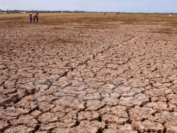 Continúan grave sequía en Altiplanicie Occidental ảnh 1