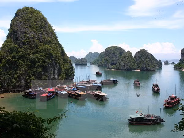 Vietnam impulsa promoción turística en Rusia ảnh 1