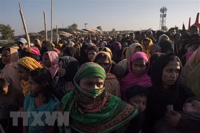 Myanmar y Bangladesh comenzarán repatriación de rohingyas en noviembre ảnh 1