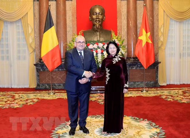 Presidenta interina de Vietnam recibe a embajadores de Países Bajos, Bélgica y Dinamarca ảnh 2