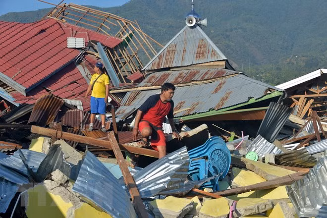 Aceleran labores de mitigación de consecuencias de desastres naturales en Indonesia ảnh 1