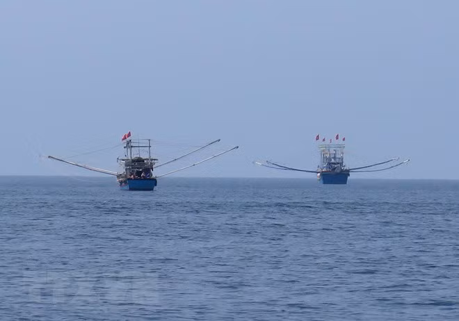 Vietnam perfecciona sistema legal de gestión costera tras 10 años de Estrategia Marítima ảnh 1