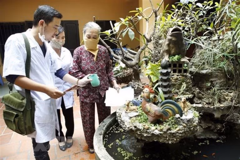 Vietnam declarado país libre de elefantiasis por la OMS ảnh 1