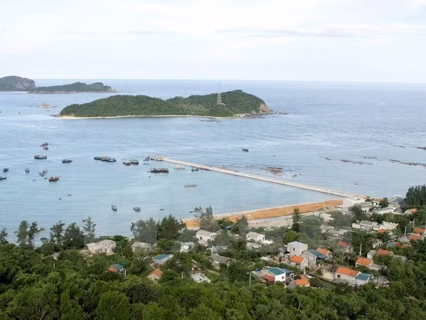 Distrito insular de Vietnam Co To prioriza desarrollo acuícola sostenible ảnh 1