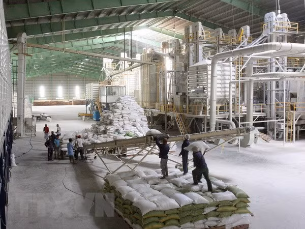 Empresas vietnamitas ganan subasta de vender arroz a Filipinas ảnh 1