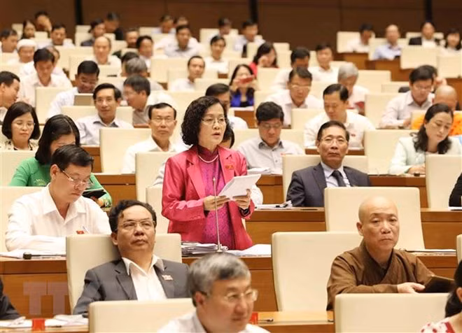 Electores vietnamitas proponen priorizar recursos para el desarrollo ảnh 1 Electores vietnamitas proponen priorizar recursos para el desarrollo ảnh 1
