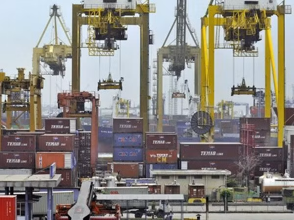 Exportaciones indonesias a África superan dos mil millones de dólares ảnh 1