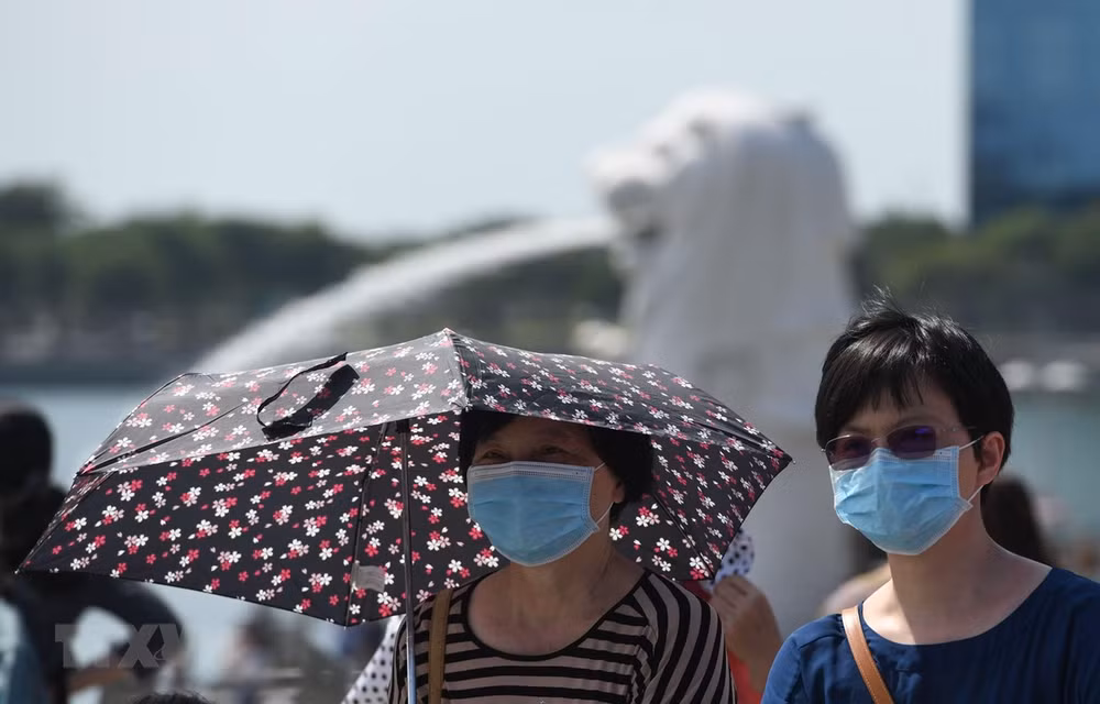 Cierran muchas empresas de Singapur en China ante brote de nuevo coronavirus ảnh 1