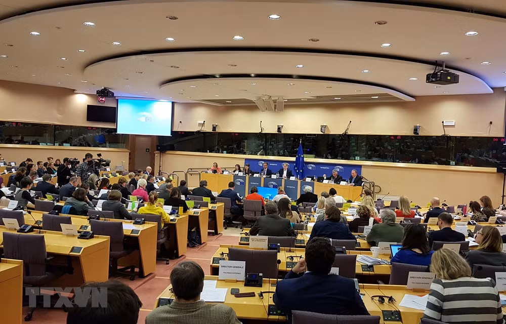 Prensa alemana indaga respaldo de Comisión de Comercio Internacional de PE al EVFTA ảnh 1