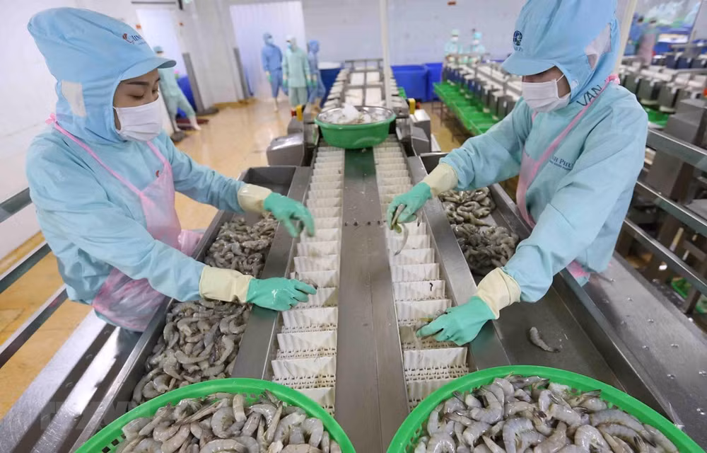 Aspira Vietnam a ingresar 41,5 mil millones de dólares por exportaciones agrícolas en 2020 ảnh 1