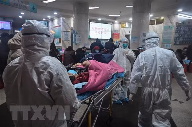 Fortalecen en Vietnam medidas para prevenir propagación de coronavirus ảnh 1