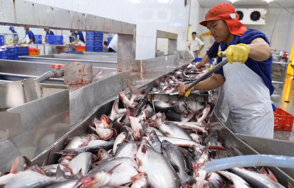 Proyecta Vietnam elevar exportaciones de productos acuáticos a 10 mil millones de dólares ảnh 1