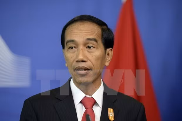 Impulsará Indonesia diplomacia económica ảnh 1