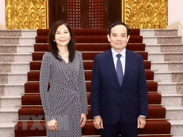 Vicepremier recibe a coordinadora residente de ONU en Vietnam ảnh 2