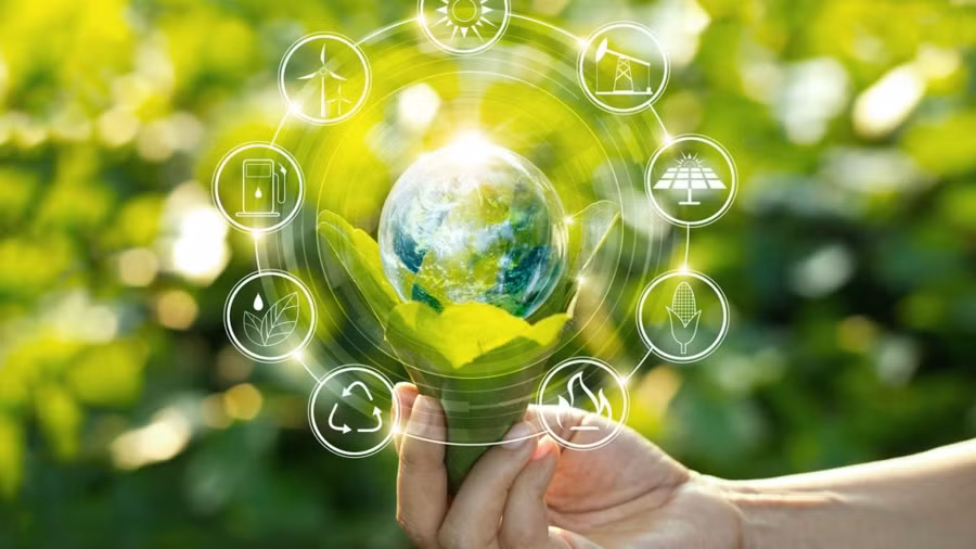 Vietnam se apunta a una economía verde de 300 mil millones de dólares en 2050 ảnh 1 Vietnam se apunta a una economía verde de 300 mil millones de dólares en 2050 ảnh 1