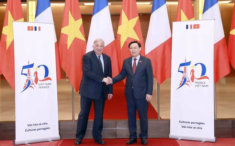 Califican a Vietnam y Francia como socios confiables ảnh 1