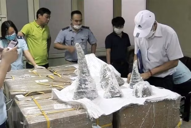 Incautan 16 kg de cuernos de rinoceronte y marfiles en aeropuerto en Hanoi ảnh 1