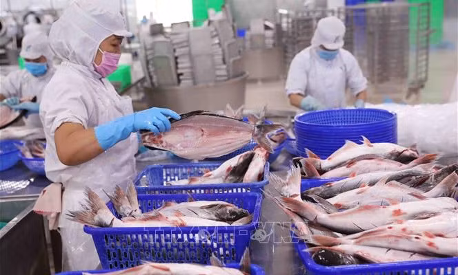 Disminuyen exportaciones de productos acuáticos de Vietnam ảnh 1