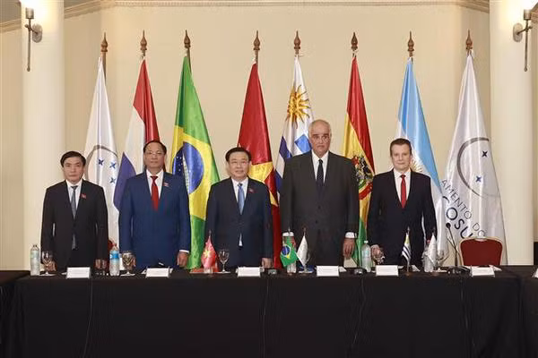  Intensifican nexos cooperativos Parlamentos de Vietnam y Mercosur ảnh 1