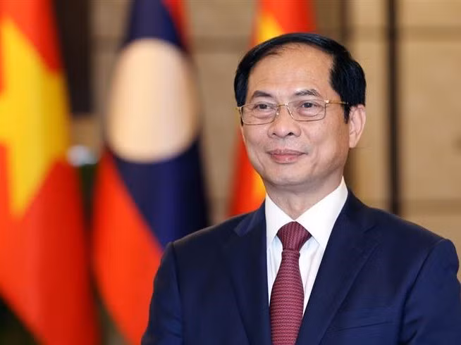 Vietnam atesora amistad y cooperación integral con Laos, afirma canciller ảnh 2