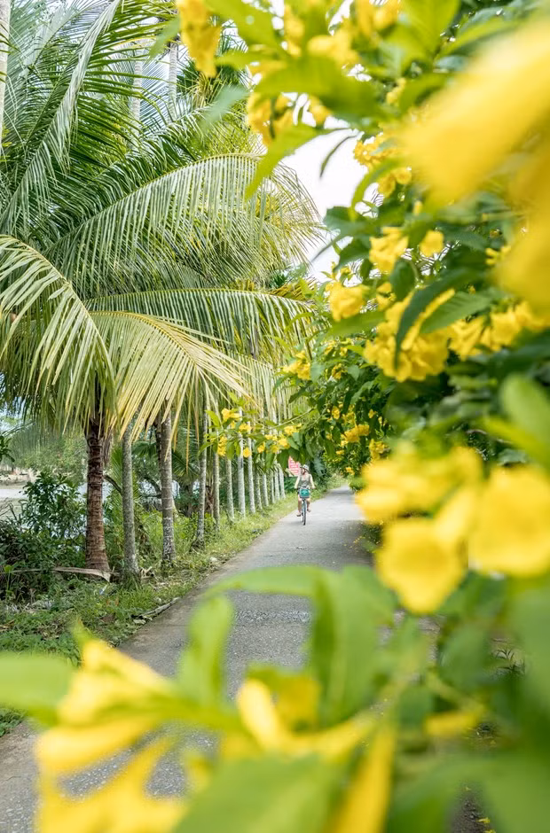 Vietnamitas optan por el turismo sostenible después del COVID-19 ảnh 3