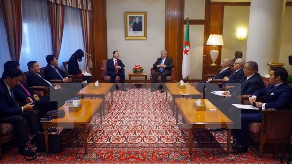 Argelia aspira a adquirir experiencias de Vietnam en integración internacional ảnh 1