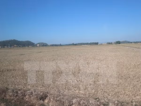 ADB concede asistencia millonaria a Vietnam para desarrollo de urbes verdes ảnh 1