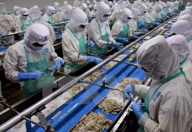 Camboya experimenta gran aumento del valor de sus exportaciones ảnh 1