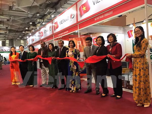 Vietnam es un pilar importante en la política “Acción hacia el Este” de India ảnh 1