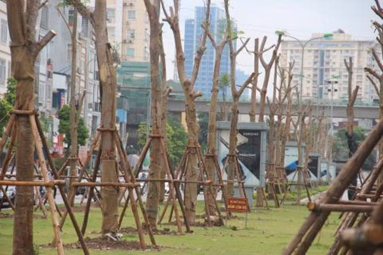 Celebrarán en Vietnam diversas actividades por centenario de independencia de Finlandia ảnh 1