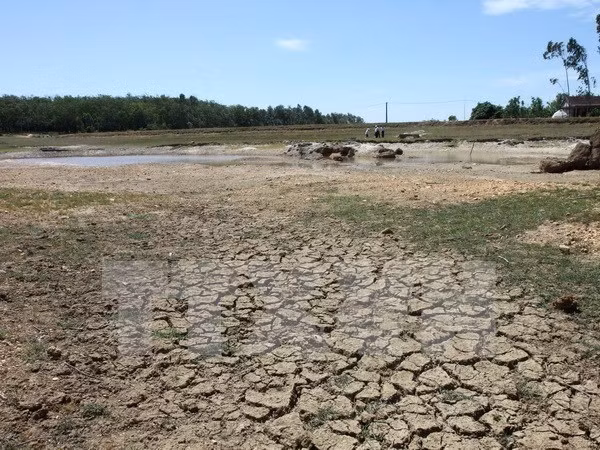 Urgen más recursos financieros para enfrentar cambio climático en Delta del Mekong de Vietnam ảnh 1
