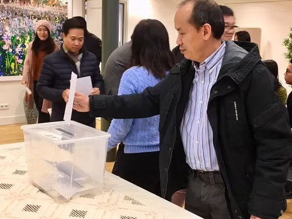 Vietnamitas en Países Bajos ayudan a connacionales afectados por desastres naturales ảnh 1