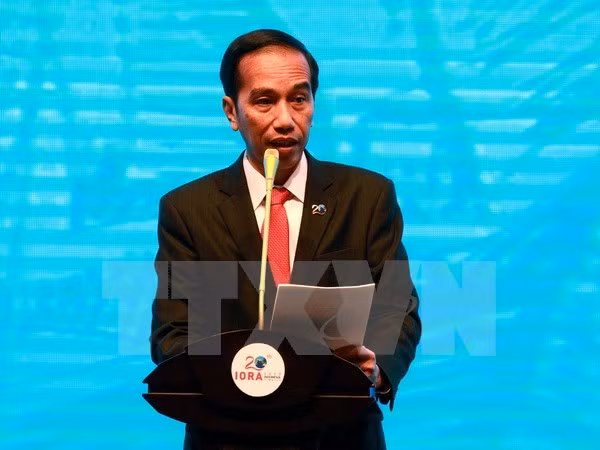 Presidente de Indonesia asistirá a Cumbre del APEC 2017 ảnh 1