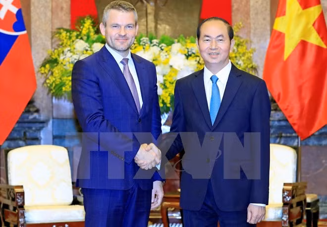 Presidente de Vietnam aboga por aumentar nexos comerciales con Eslovaquia ảnh 1