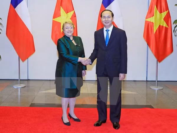 Vietnam y Chile reiteran la voluntad de consolidar nexos bilaterales ảnh 1