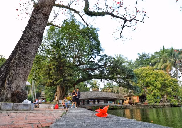 Adoptan planes para estimular recuperación de turismo vietnamita ảnh 2