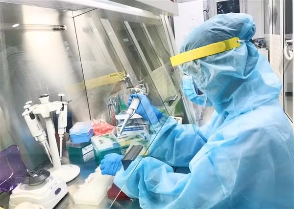 Vietnam confirma un nuevo caso de contagio local de COVID-19 ảnh 1