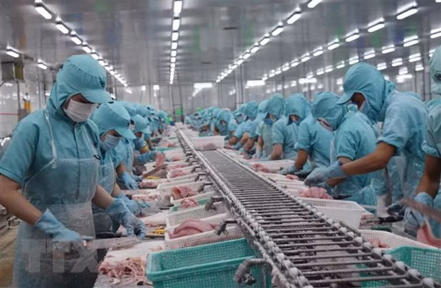 Camboya se compromete a respetar el libre comercio tras suspensión de importación de bagres ảnh 1 Camboya se compromete a respetar el libre comercio tras suspensión de importación de bagres ảnh 1