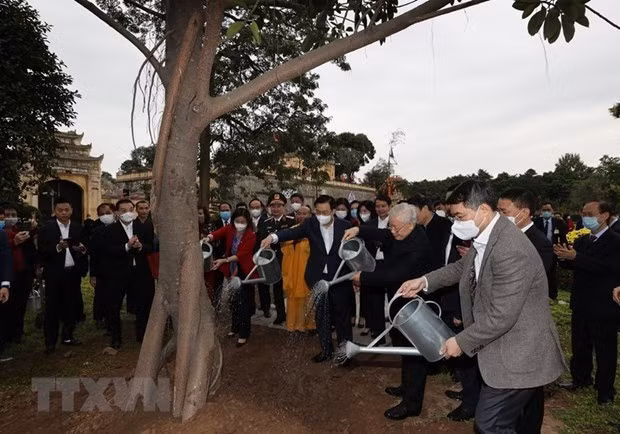 Lanzan movimiento de plantación de árboles en Hanoi ảnh 1